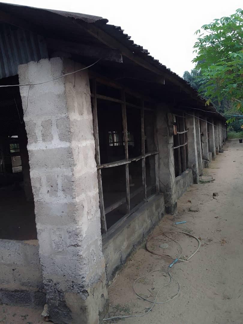 A fish and poultry farm occupying 20 plots of land for lease in Asa