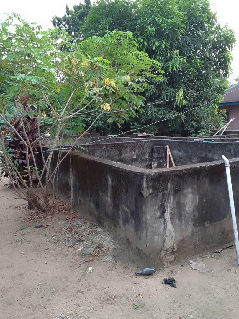 A fish and poultry farm occupying 20 plots of land for lease in Asa