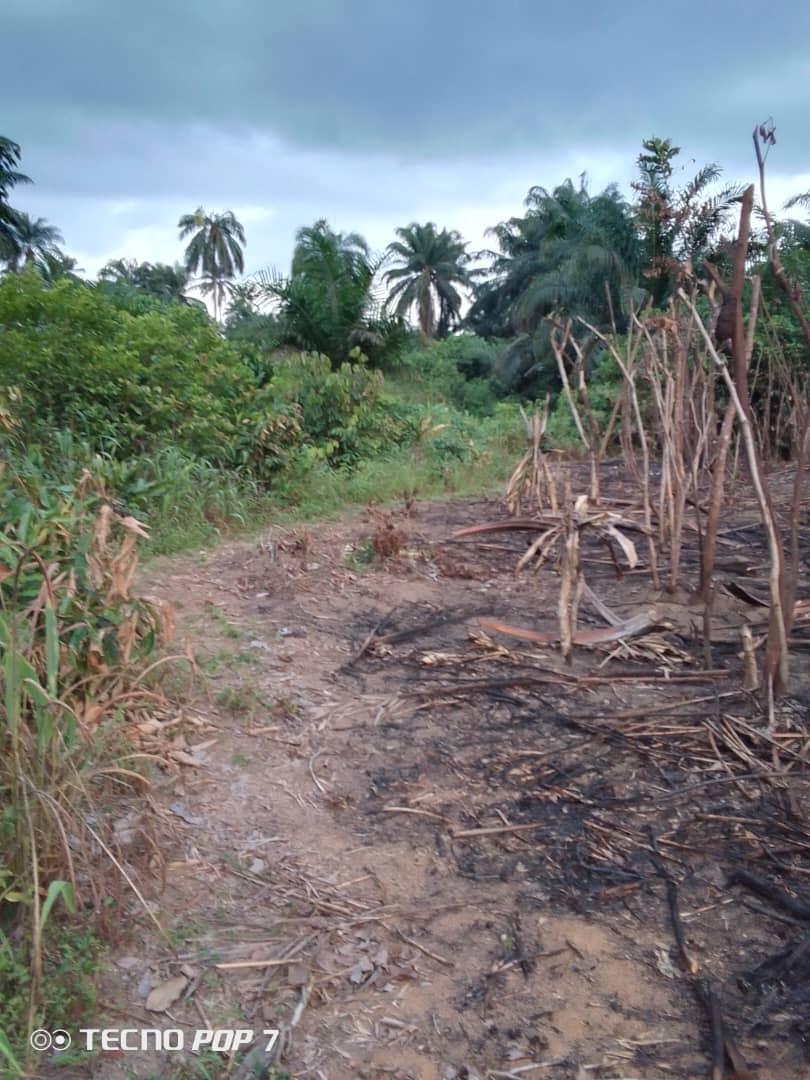 22 PLOTS FERTILE LAND FOR SALE