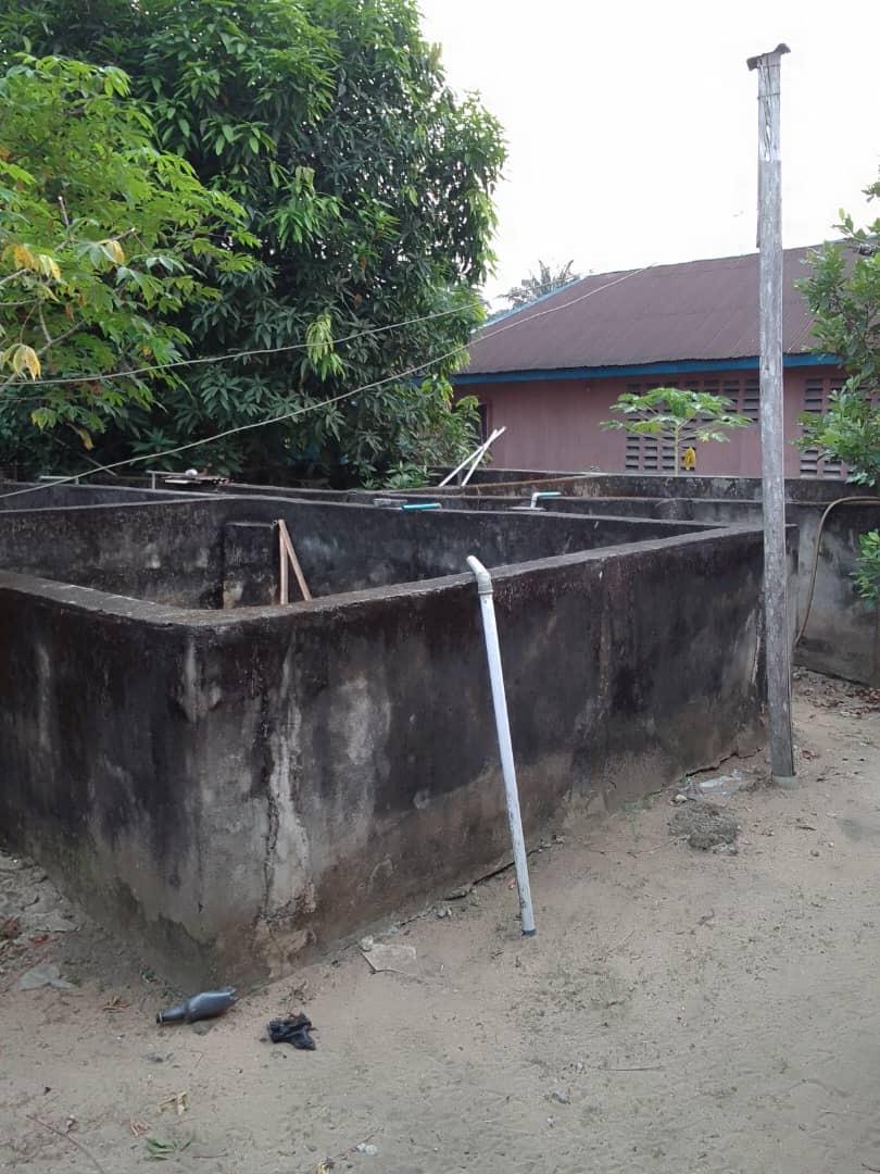 A fish and poultry farm occupying 20 plots of land for lease in Asa