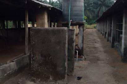 A fish and poultry farm occupying 20 plots of land for lease in Asa