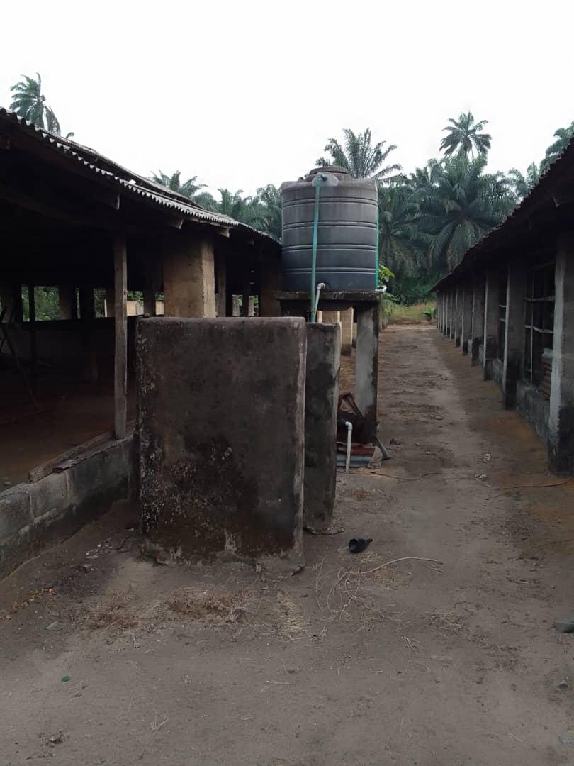 A fish and poultry farm occupying 20 plots of land for lease in Asa