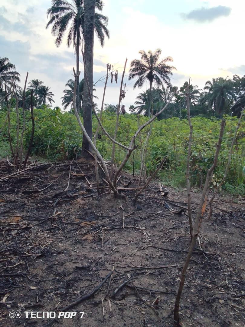 22 PLOTS FERTILE LAND FOR SALE