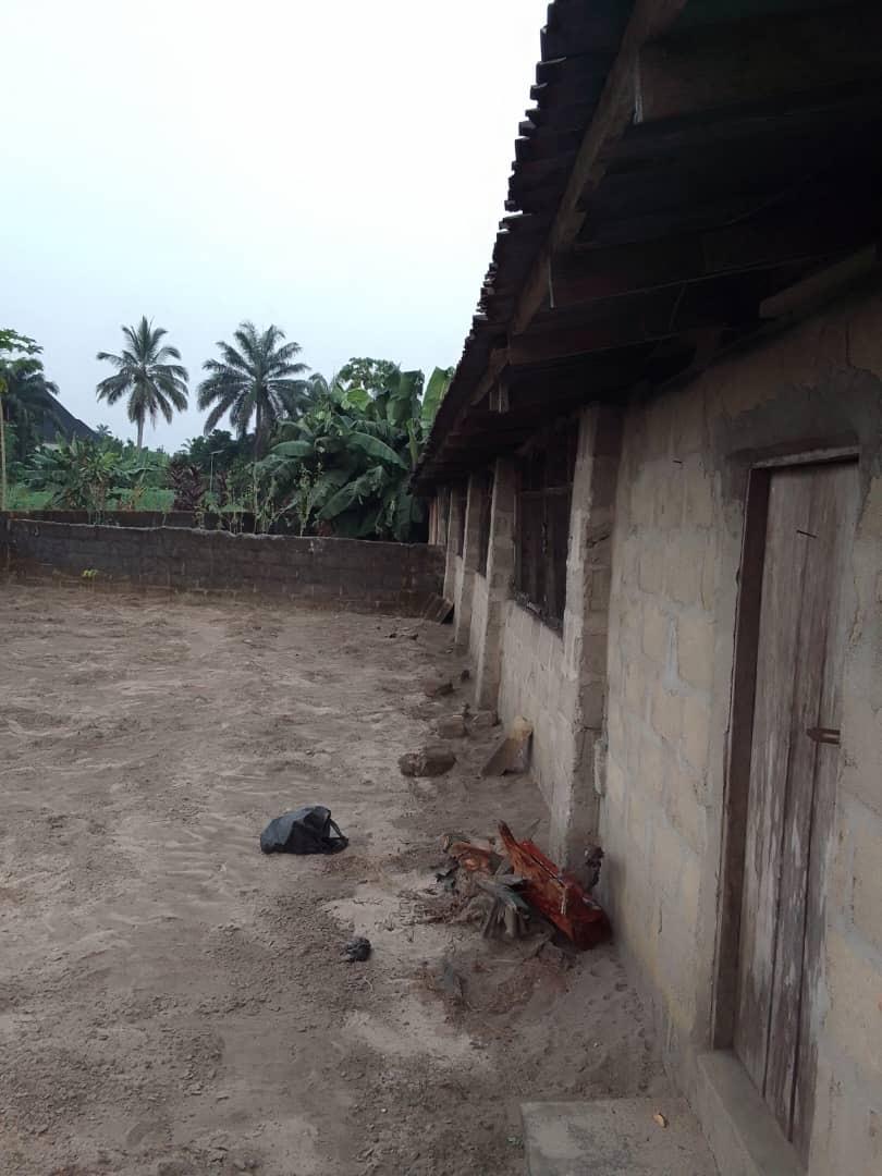 A fish and poultry farm occupying 20 plots of land for lease in Asa